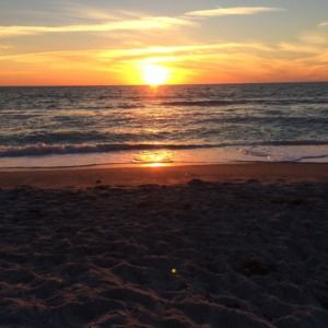 Meet your Posher, Theresa